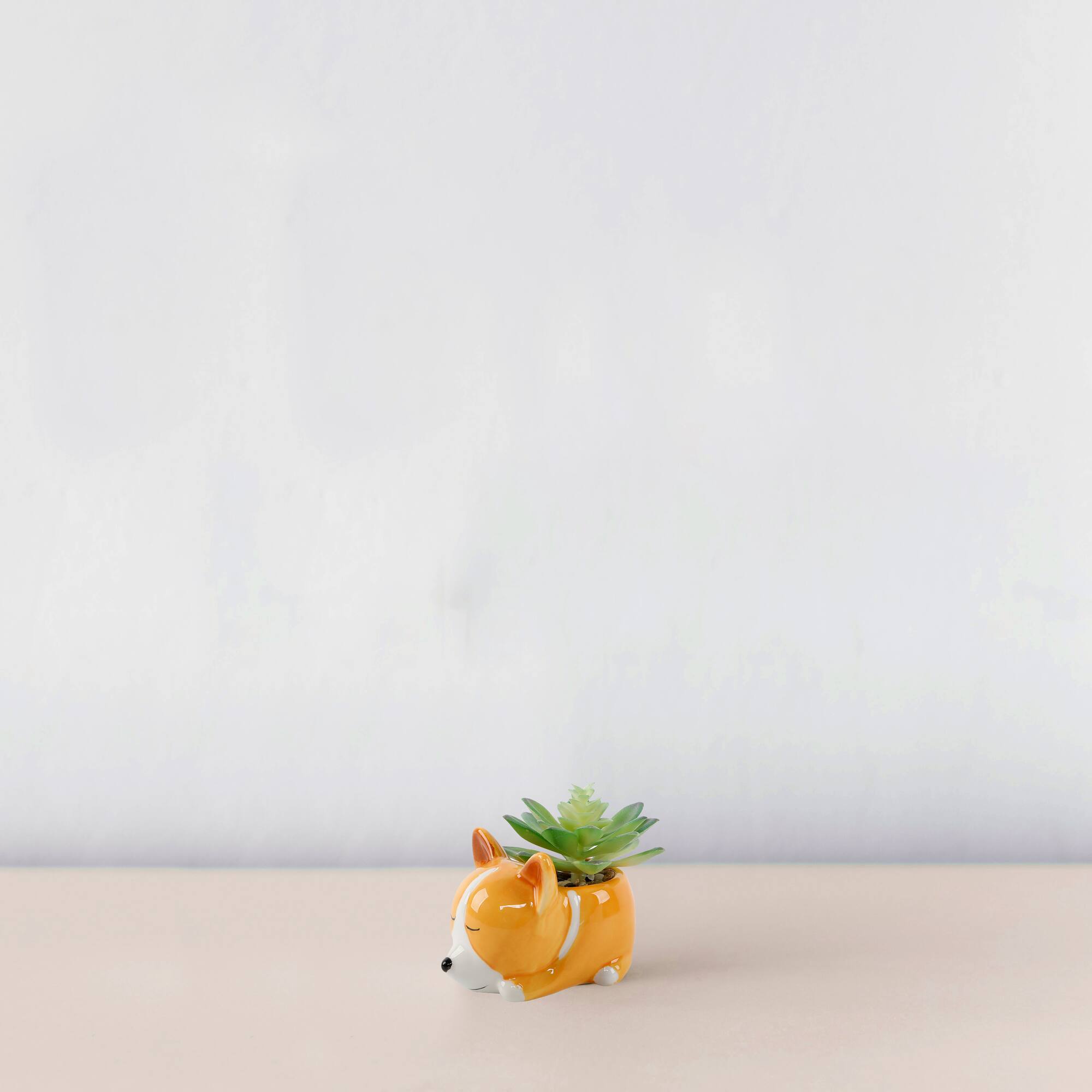 Flora Bunda® 5.5" Green Succulent in Orange Ceramic Puppy Planter